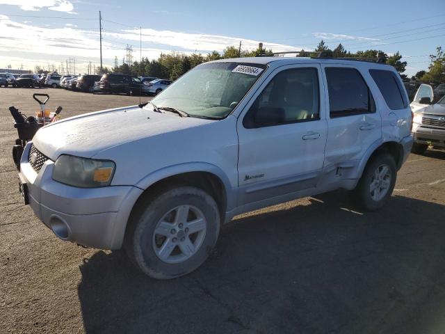 ford escape hev 2006 1fmyu96h16kc06753