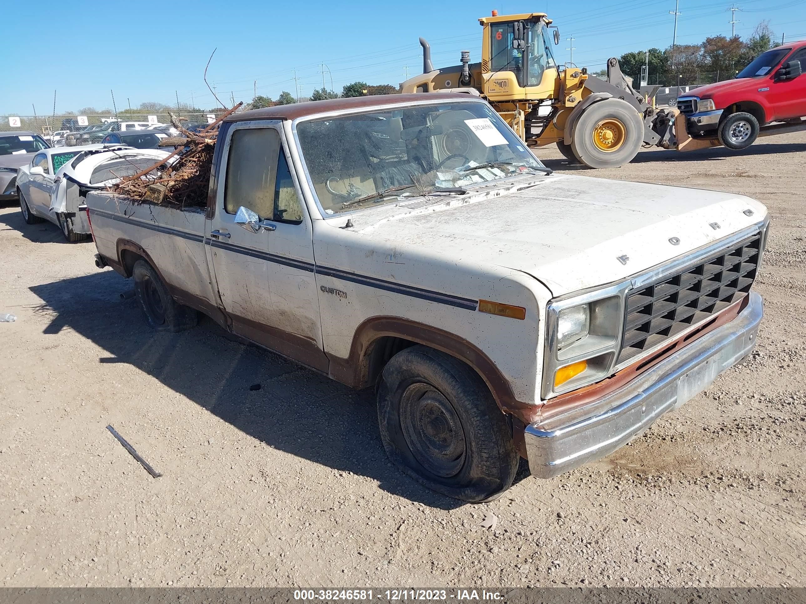 ford f-150 1981 1ftdf15e1bka13891