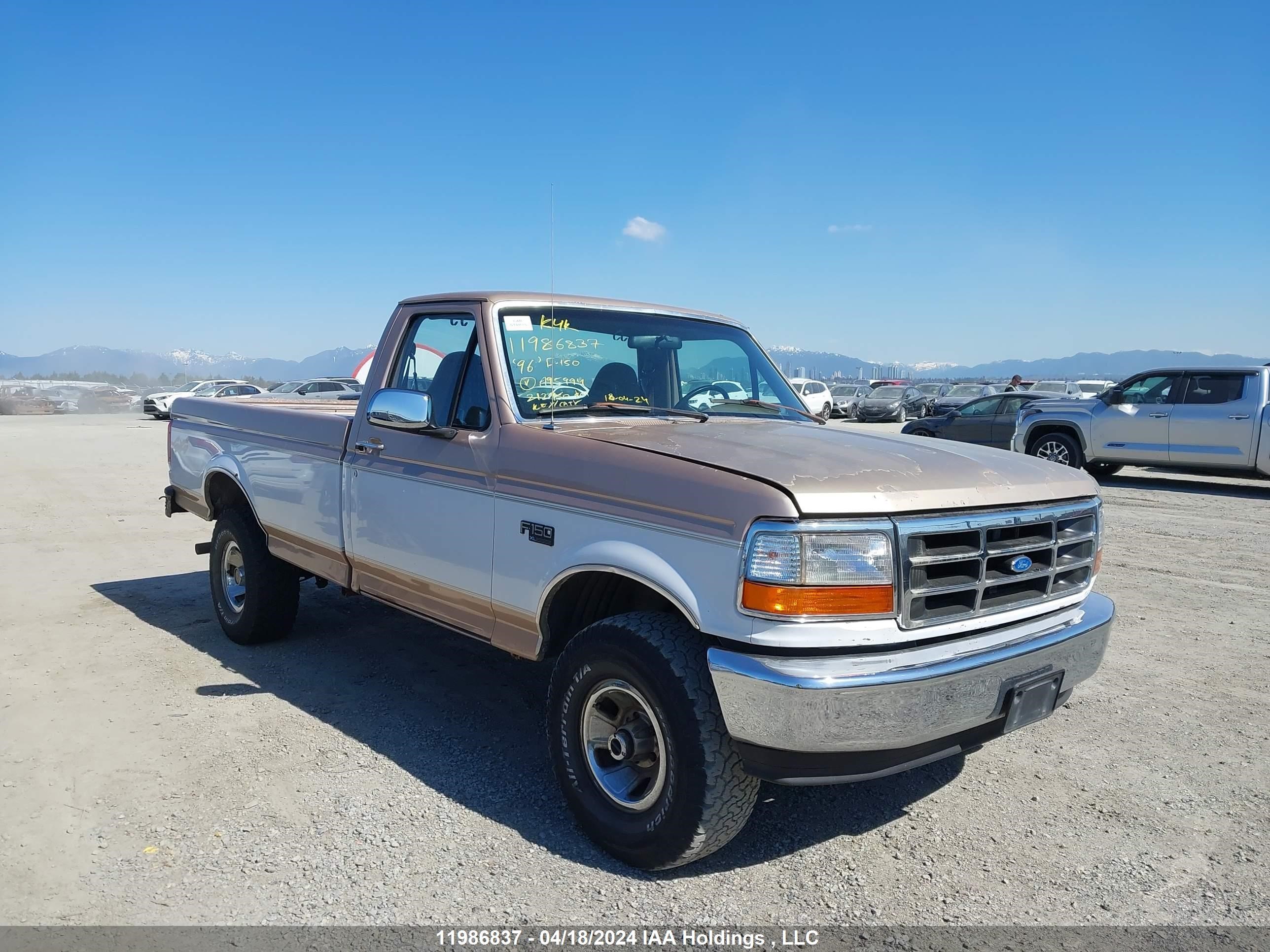 ford f-150 1996 1ftef14y9tla95994