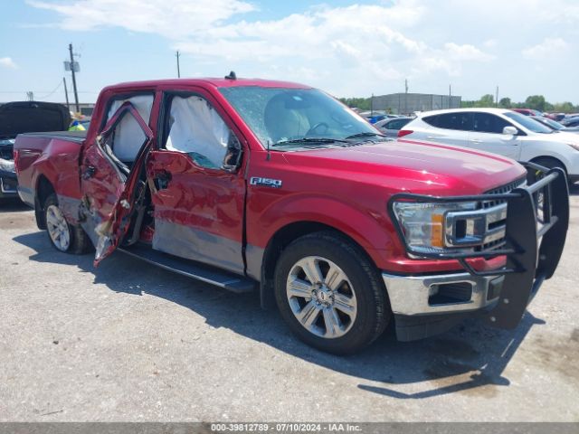 ford f-150 2019 1ftew1c43kkf15204