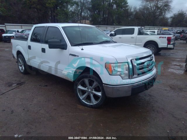 ford f-150 2010 1ftew1c80afb20603