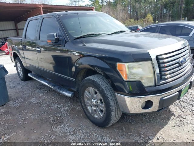 ford f-150 2010 1ftew1c80afb66724