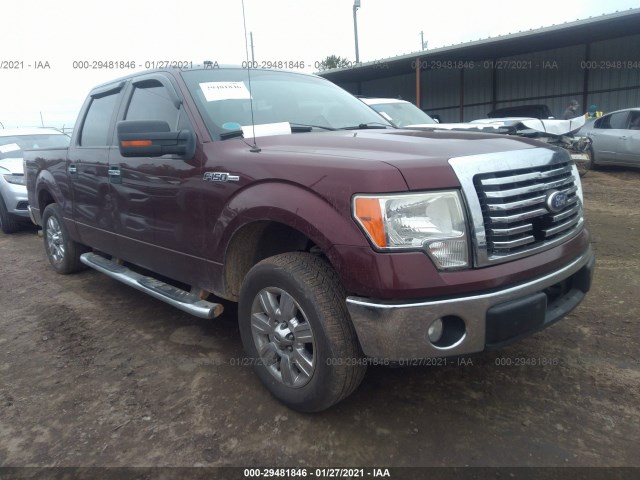 ford f-150 2010 1ftew1c80afc45018