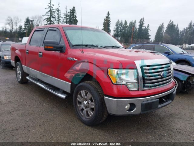 ford f-150 2010 1ftew1c80afd71332