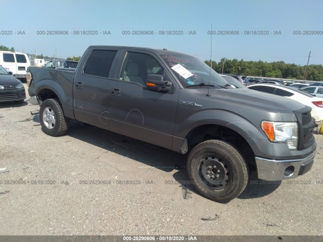 ford f-150 2010 1ftew1c82afb83993