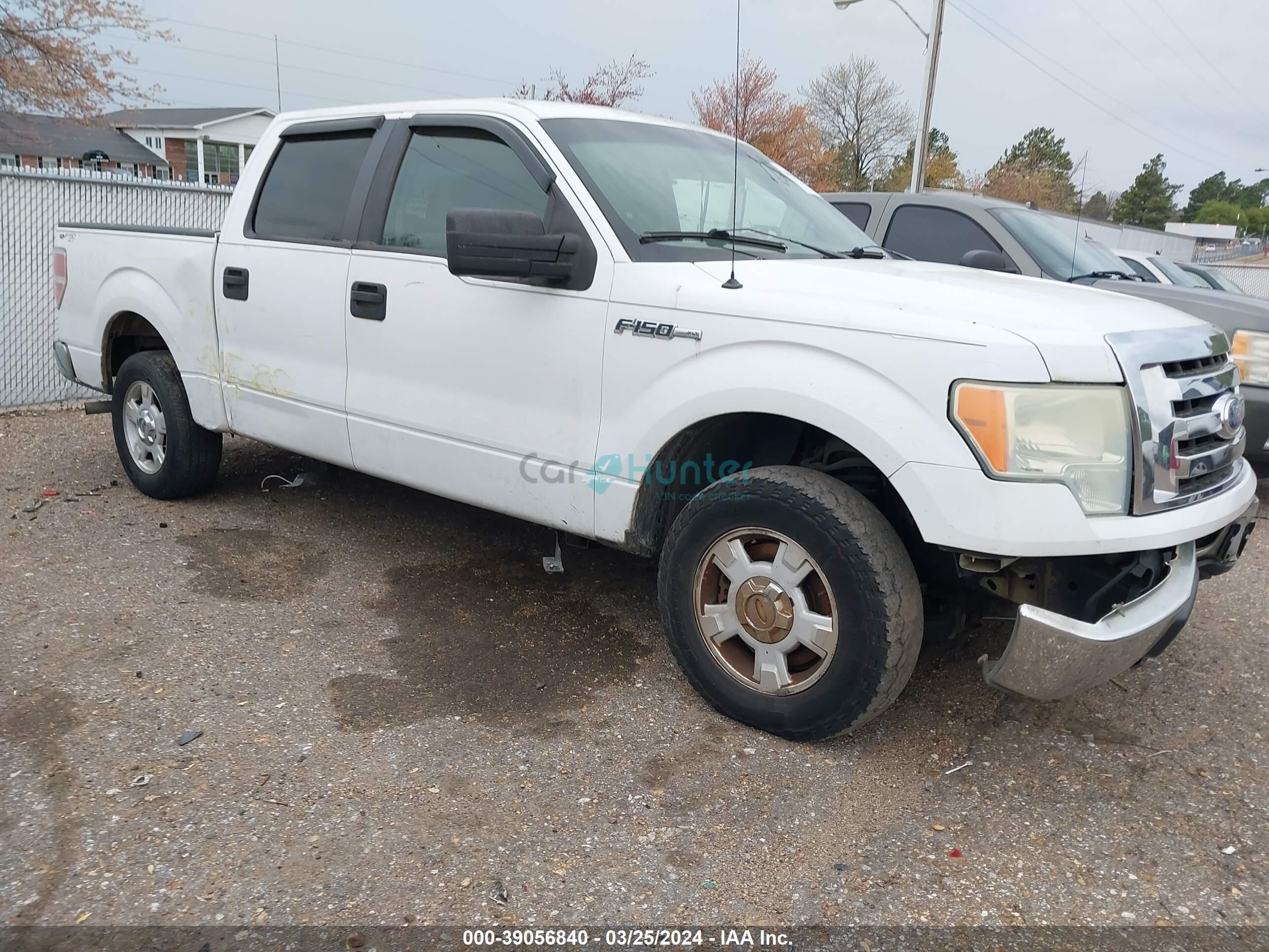 ford f-150 2010 1ftew1c85afb34416