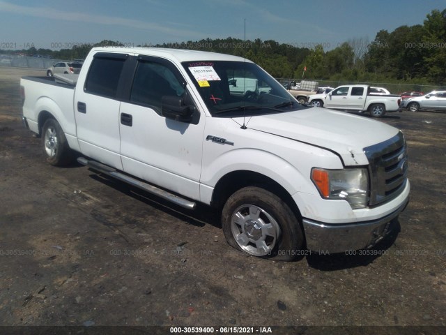 ford f-150 2010 1ftew1c85afb81719