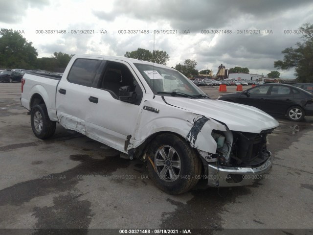 ford f-150 2015 1ftew1c85ffa73981