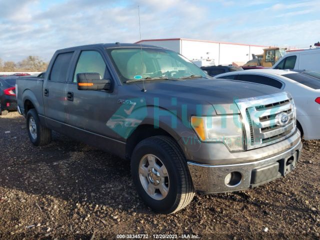 ford f-150 2010 1ftew1c86afd18117