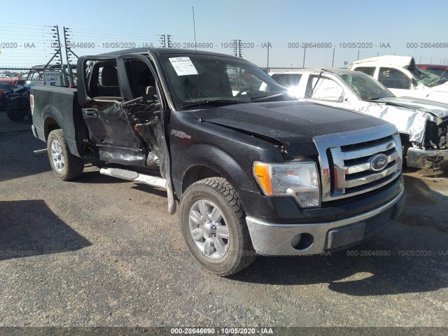 ford f-150 2010 1ftew1c8xafd04799