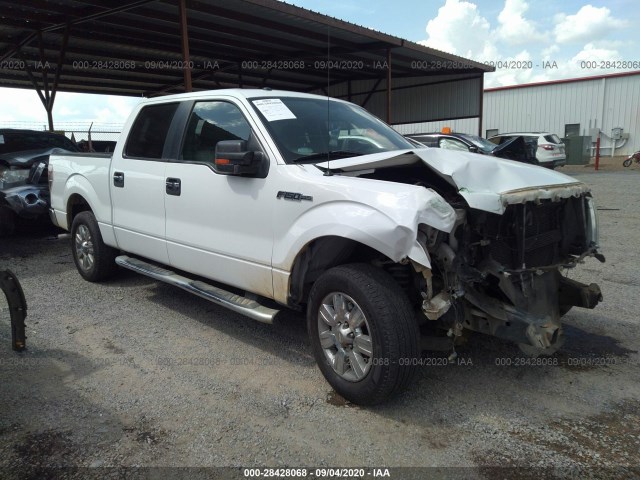 ford f-150 2010 1ftew1c8xafd50441