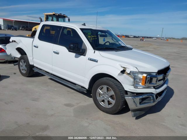 ford f-150 2019 1ftew1cb2kkc23266