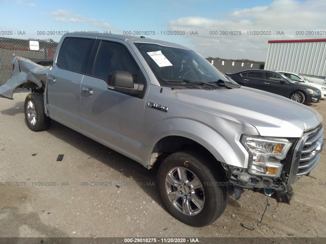 ford f-150 2015 1ftew1cf1fke36203