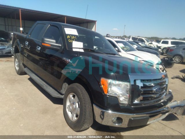 ford f-150 2012 1ftew1cm0ckd07413