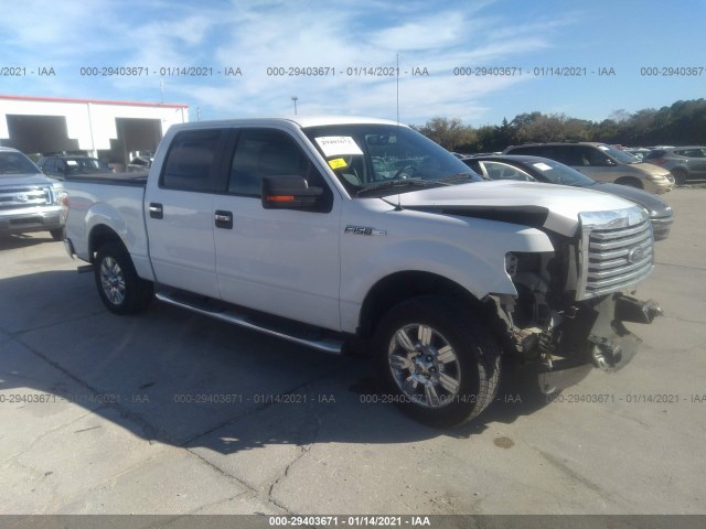 ford f-150 2012 1ftew1cm0ckd35180