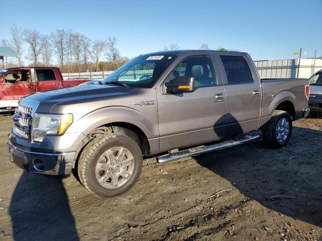 ford f-150 2014 1ftew1cm1efc61036