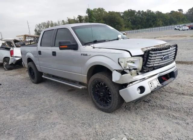 ford f-150 2011 1ftew1cm2bfb81384