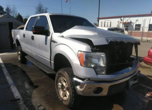 ford f-150 2011 1ftew1cm3bkd27721