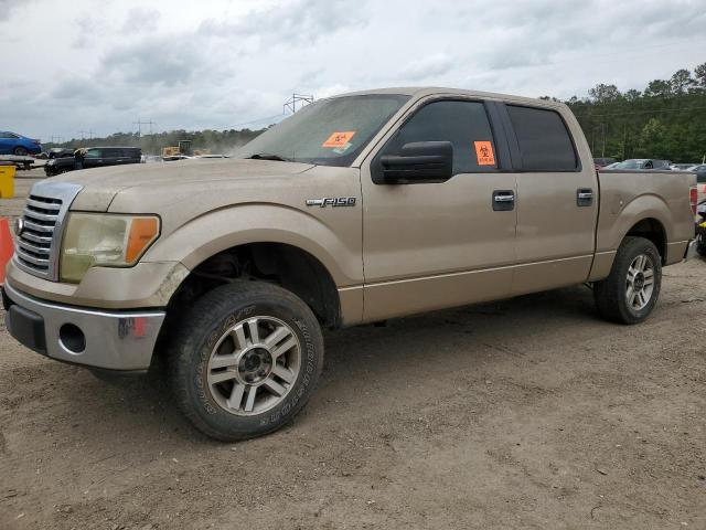 ford f150 2011 1ftew1cm6bfb51837