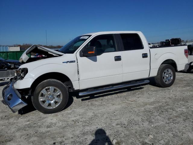 ford f-150 2011 1ftew1cm6bfd19363