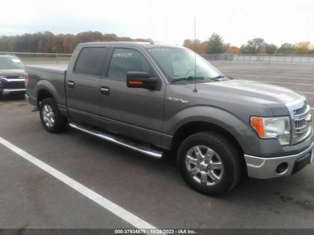 ford f-150 2013 1ftew1cm7dfb21989