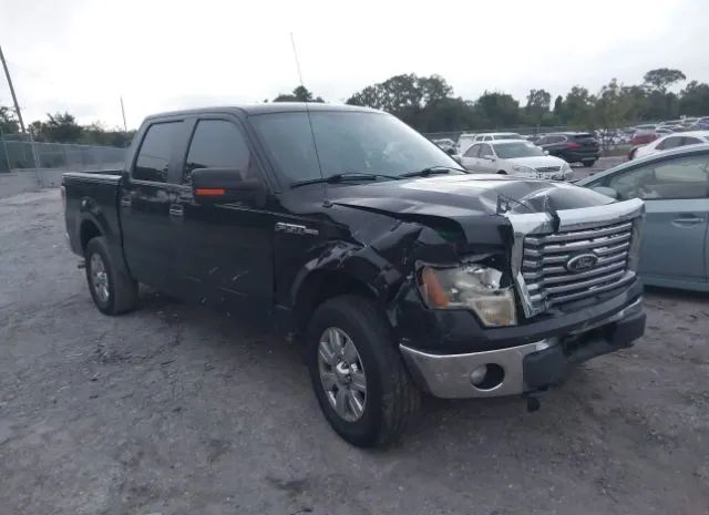 ford f-150 2012 1ftew1cm8cfa09958