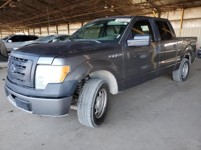 ford f-150 2012 1ftew1cm8cfc81636