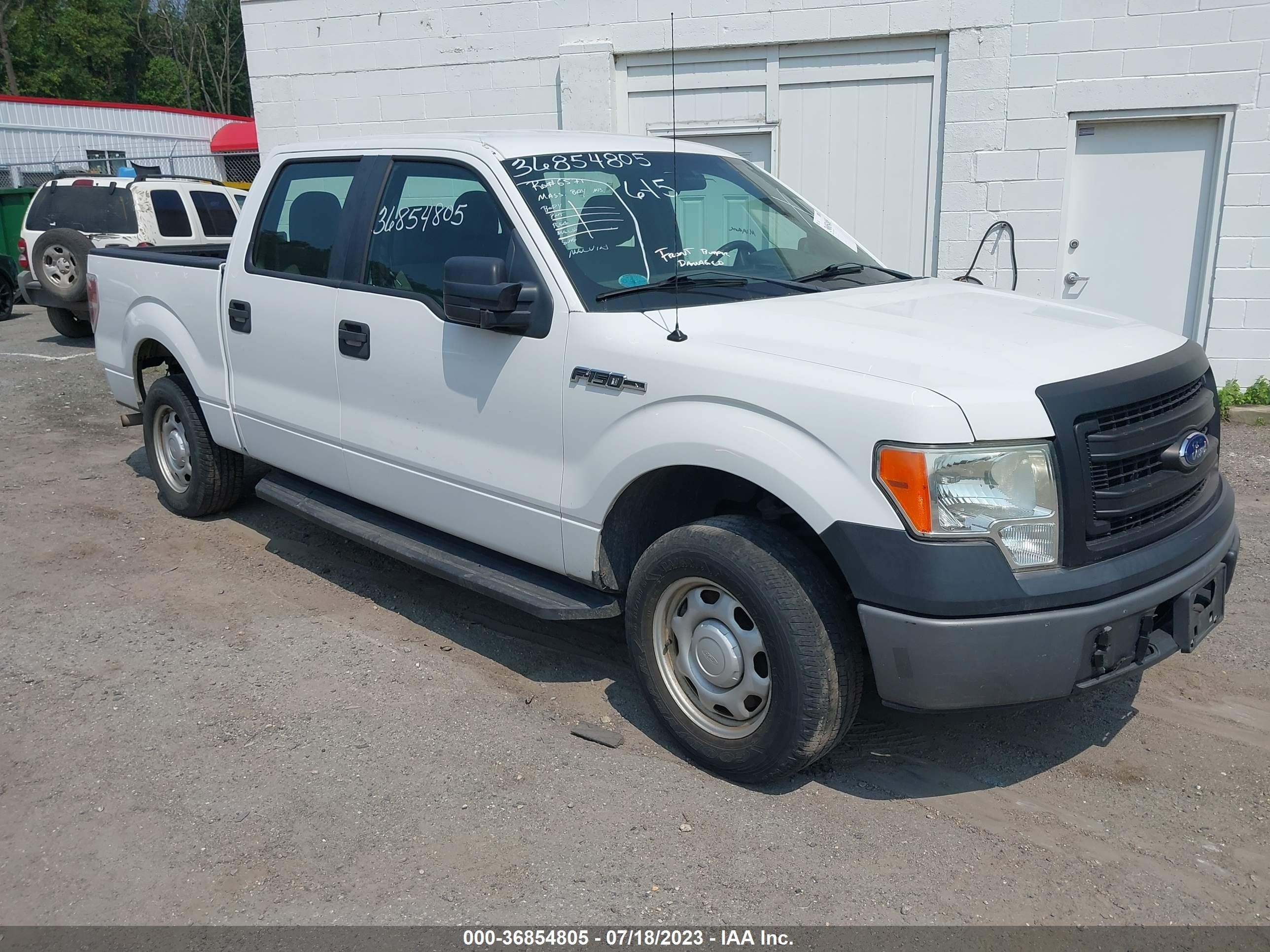 ford f-150 2013 1ftew1cm9dfb71941