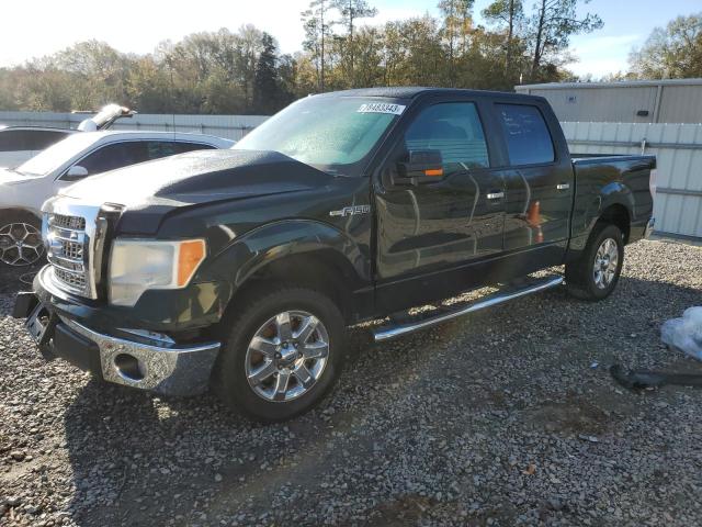 ford f-150 2013 1ftew1cmxdfd91153