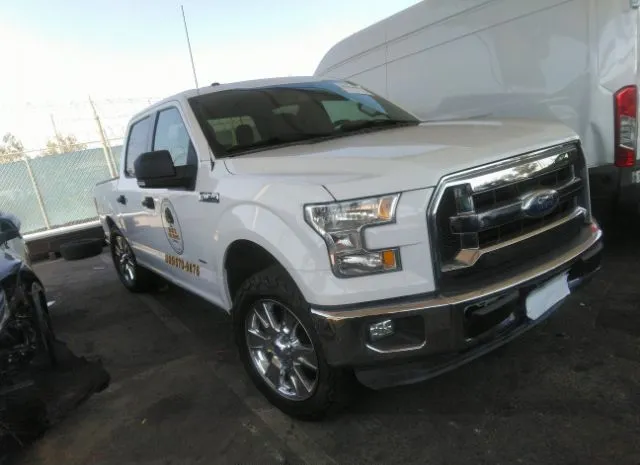 ford f-150 2015 1ftew1cp8ffa57152