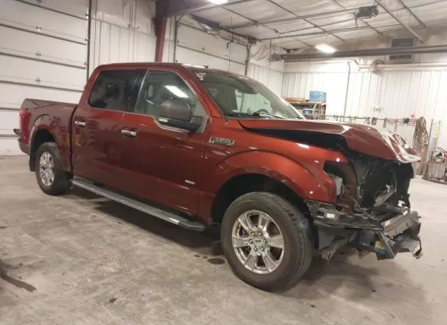 ford f-150 2015 1ftew1cp8fke01988