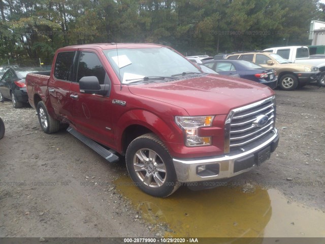 ford f-150 2016 1ftew1cp8gfa09491