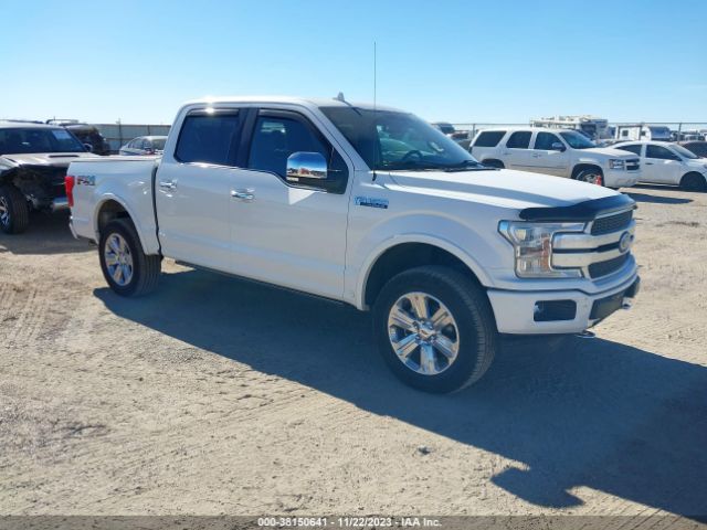 ford f-150 2019 1ftew1e41kfc87273