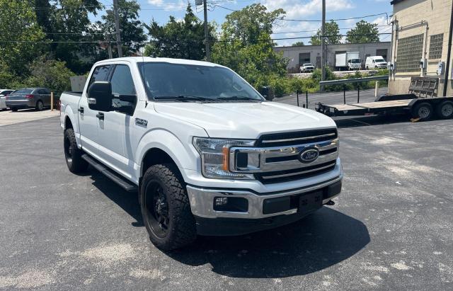 ford f-150 2019 1ftew1e51kfc66738