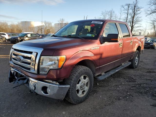 ford f-150 2010 1ftew1e80afa03374