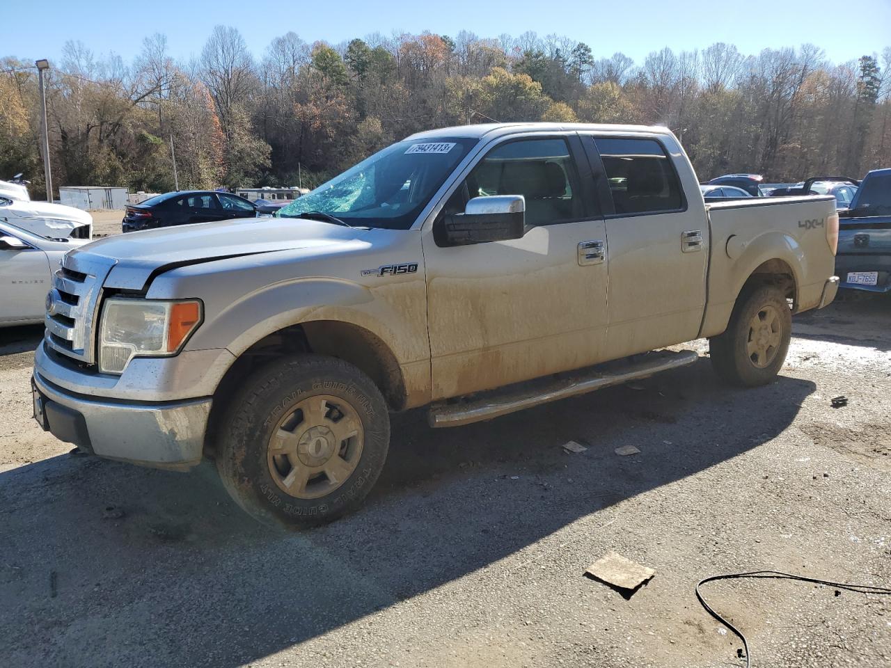 ford f-150 2010 1ftew1e83afc53630