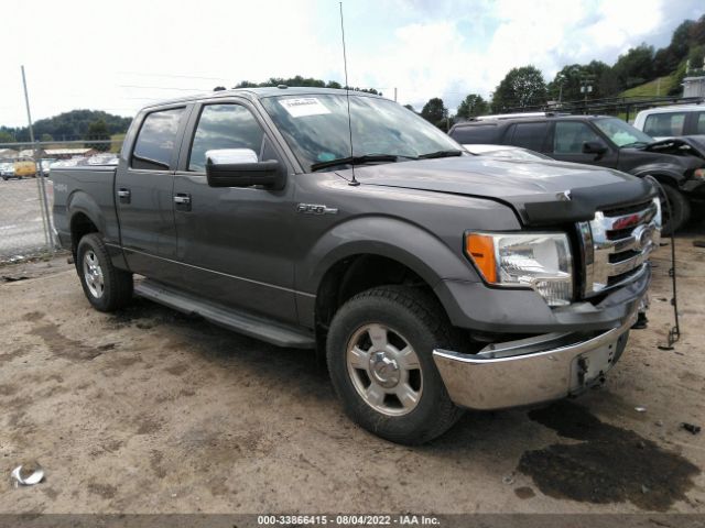 ford f-150 2010 1ftew1e84afd63070