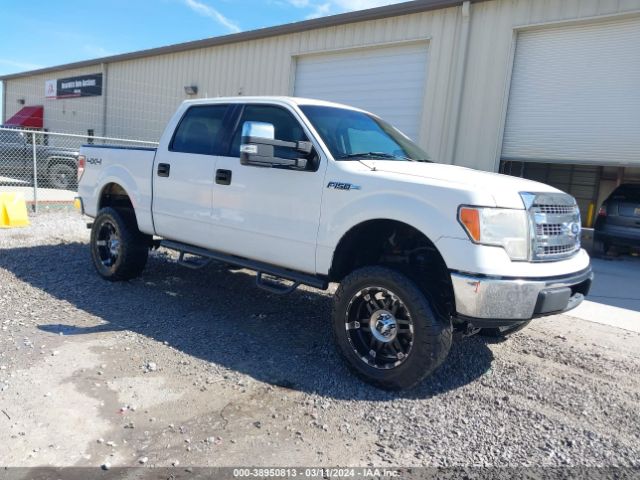 ford f-150 2010 1ftew1e86afb37922