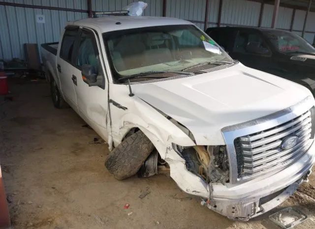 ford f-150 2010 1ftew1e88afb55466