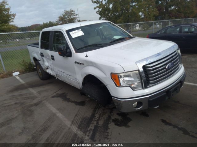 ford f-150 2010 1ftew1e89afb20130