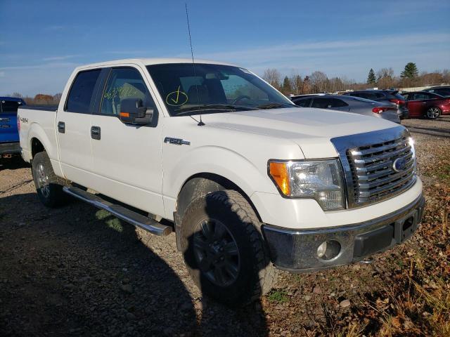 ford f150 super 2010 1ftew1e89afd70127