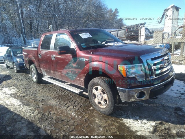ford f-150 2010 1ftew1e8xafc74104