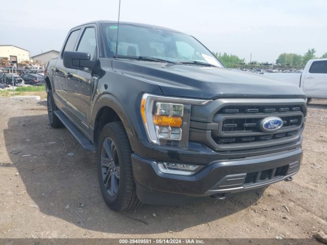 ford f-150 2023 1ftew1ed6pfc79760