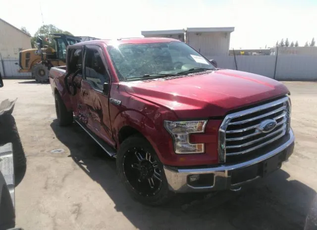 ford f-150 2015 1ftew1ef8fkd17075