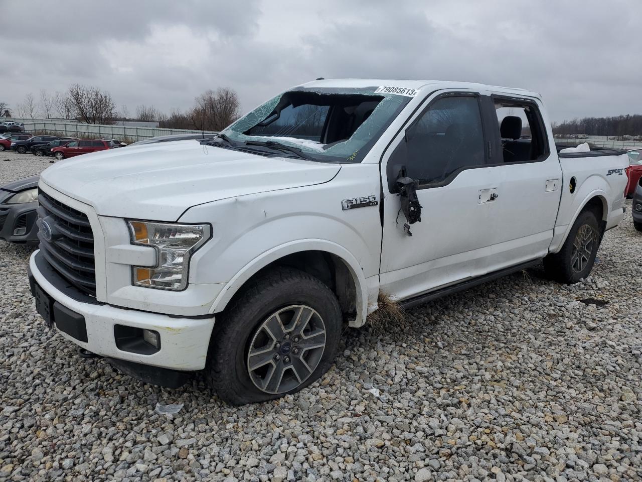 ford f-150 2016 1ftew1efxgfd43266