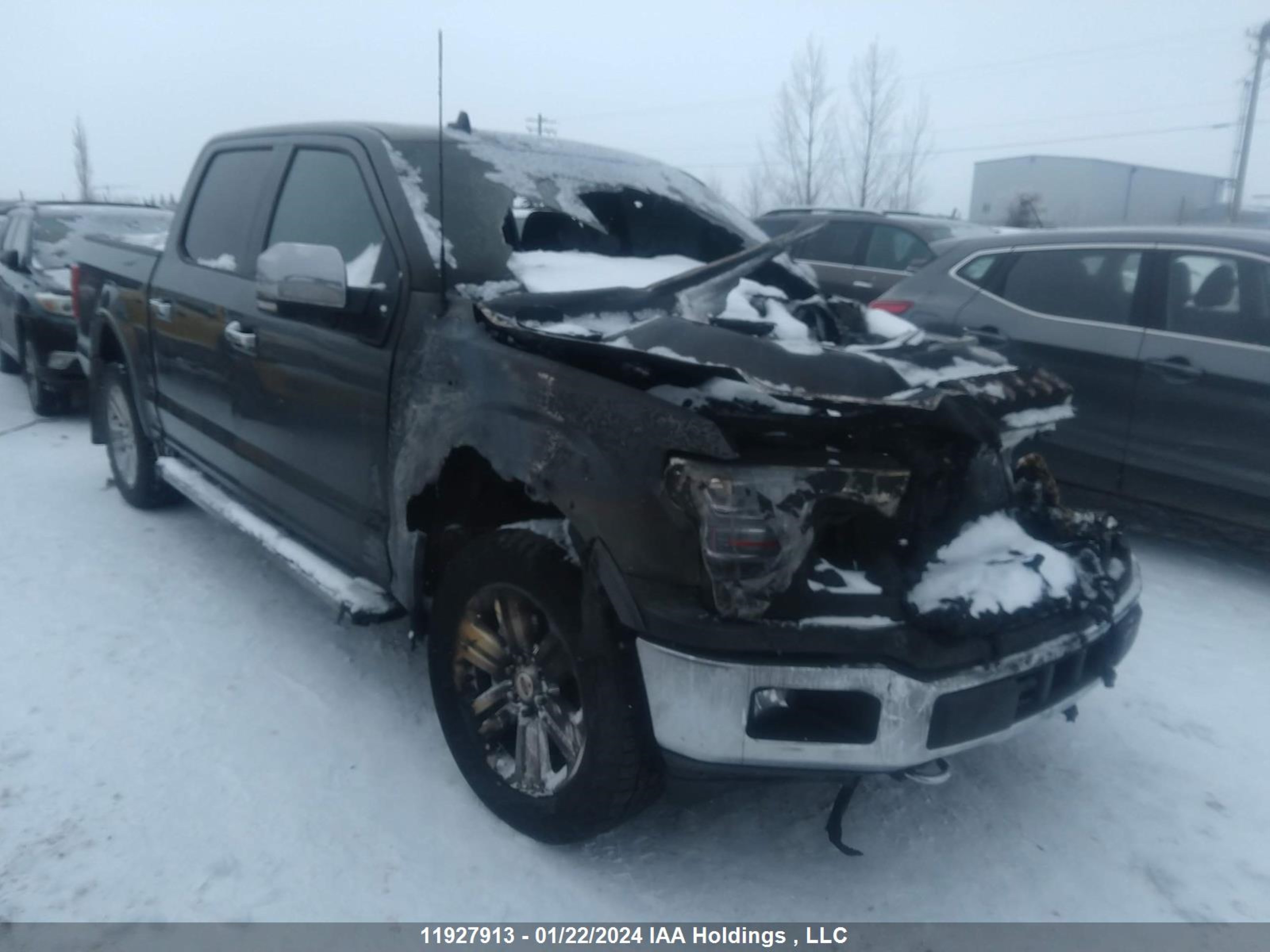 ford f-150 2018 1ftew1eg3jkd39535