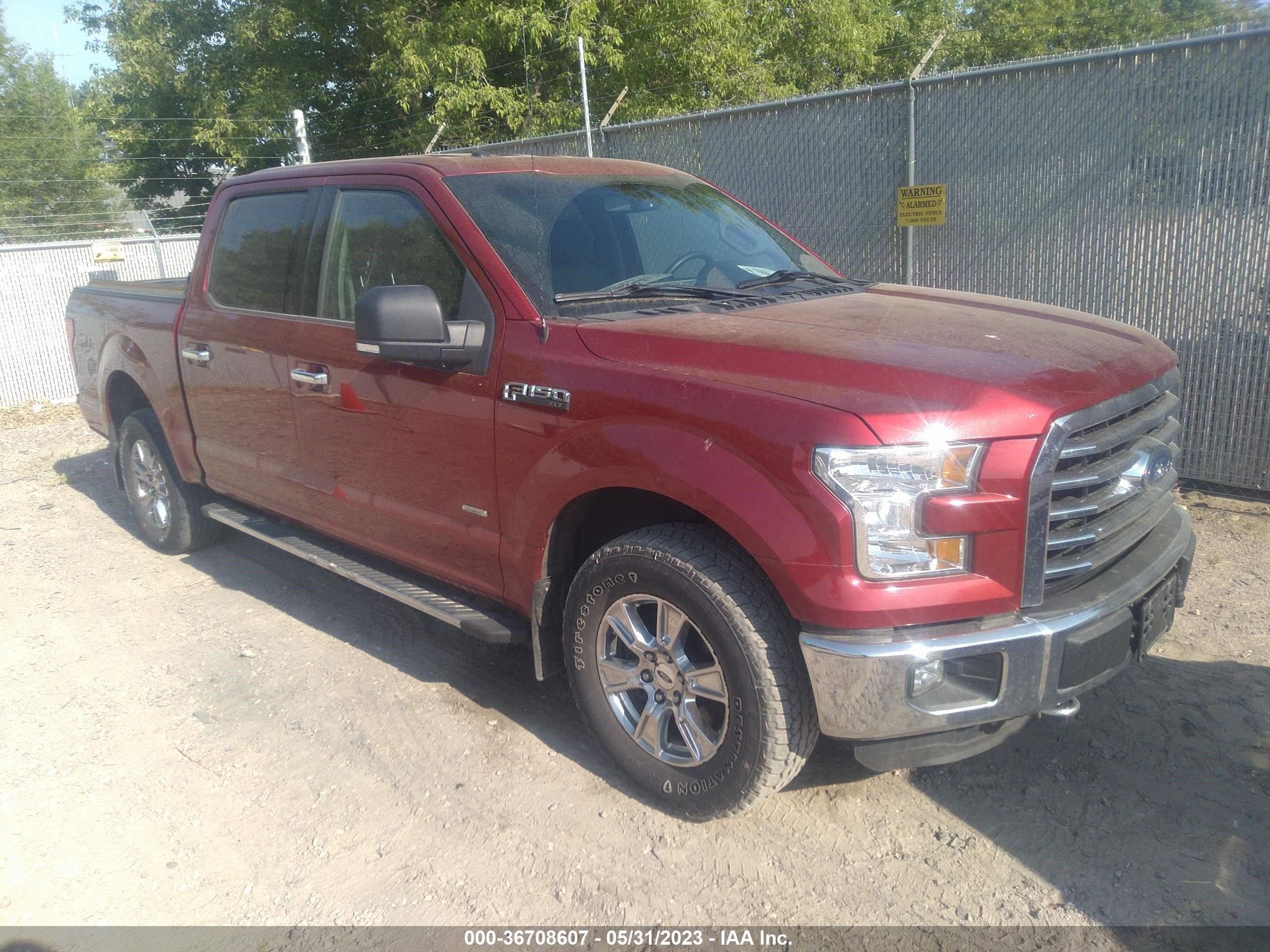 ford f-150 2015 1ftew1eg4ffa56688