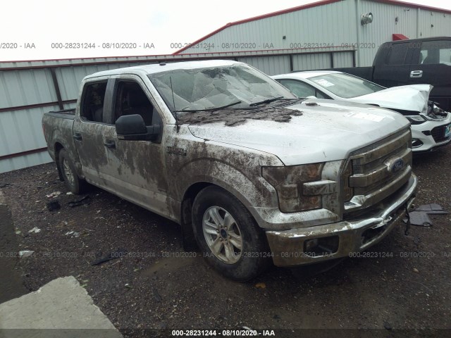 ford f-150 2016 1ftew1eg8gfb56696