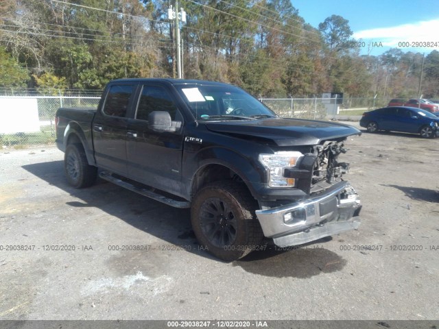 ford f-150 2015 1ftew1ep1ffc70974