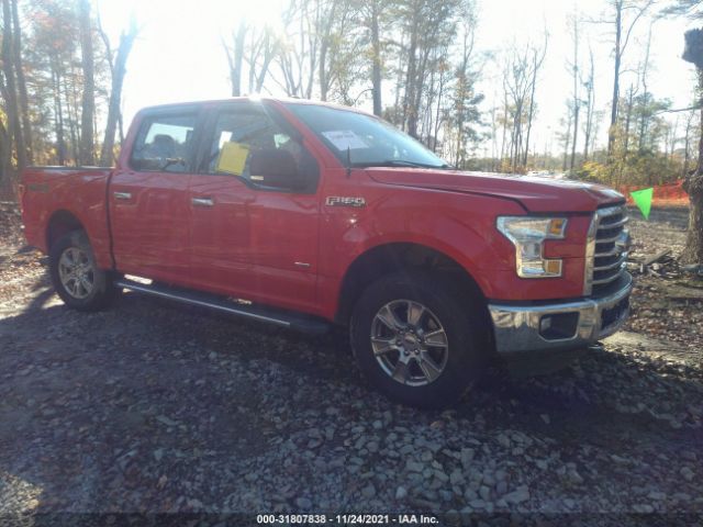 ford f-150 2015 1ftew1ep3ffc75755